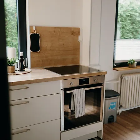 Mit Garten Und Innenstadtnähe Apartment Plön